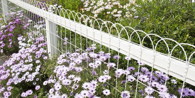 6. Aesthetically Pleasing: Decorative Fence Options