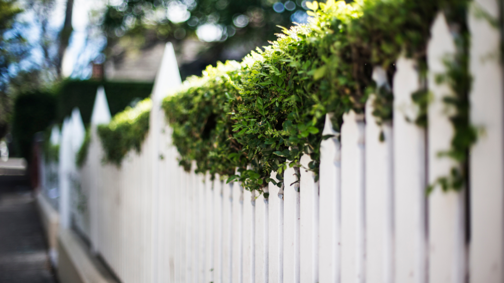 8. Understanding the Pros and Cons of Different Fence Types