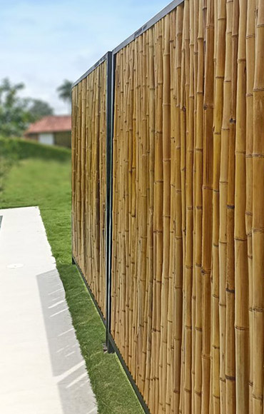 All About Bamboo Fencing