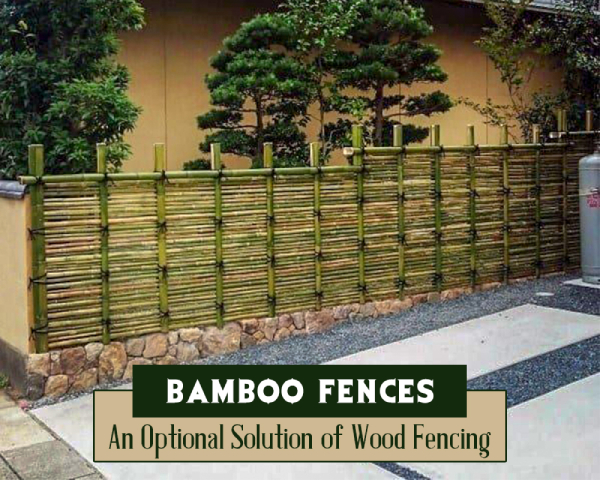 All About Bamboo Fencing