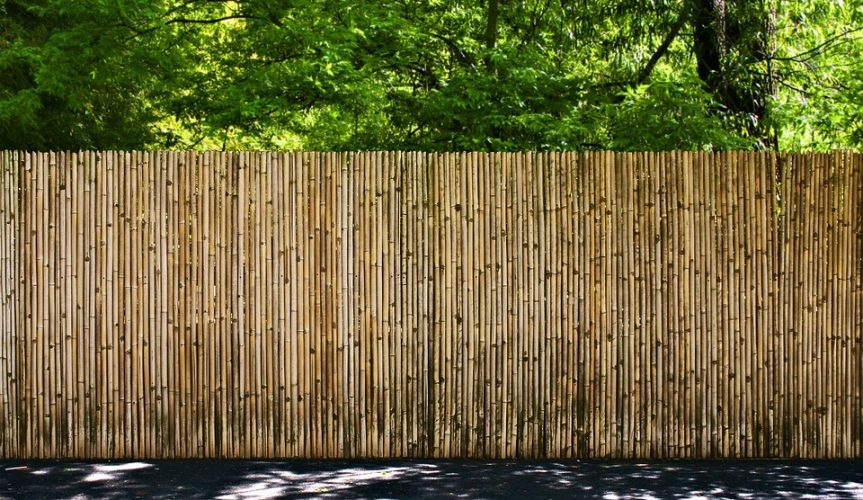 All About Bamboo Fencing