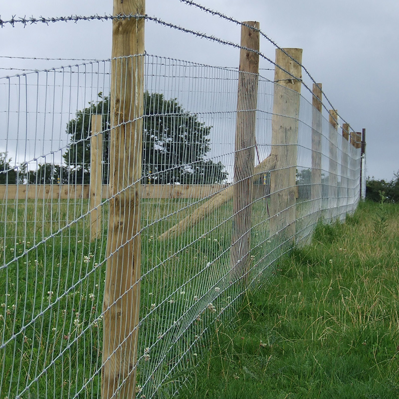 All About Chicken Wire Fencing