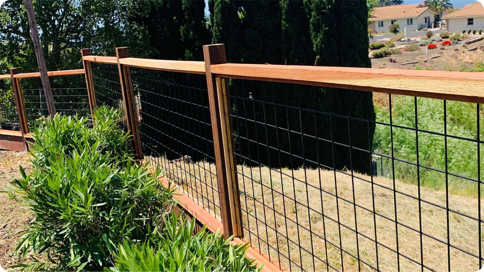 All About Chicken Wire Fencing