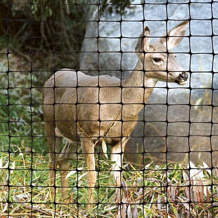 All About Deer Fencing