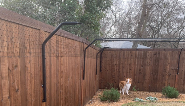 All About Dog-Proof Fencing