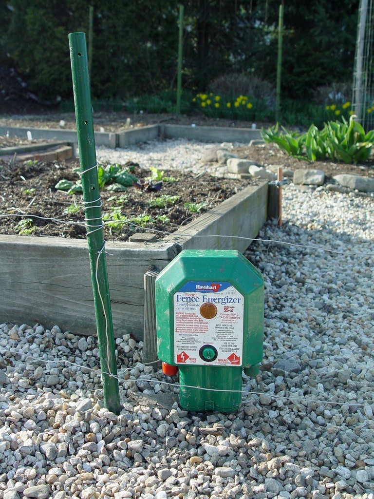 All About Electric Garden Fencing