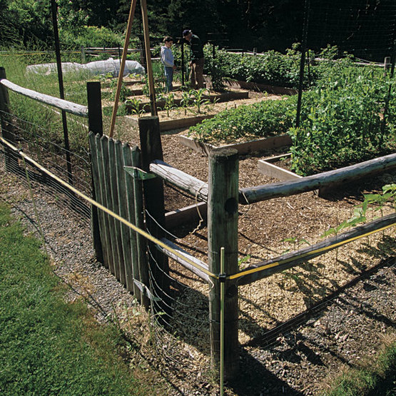 All About Electric Garden Fencing