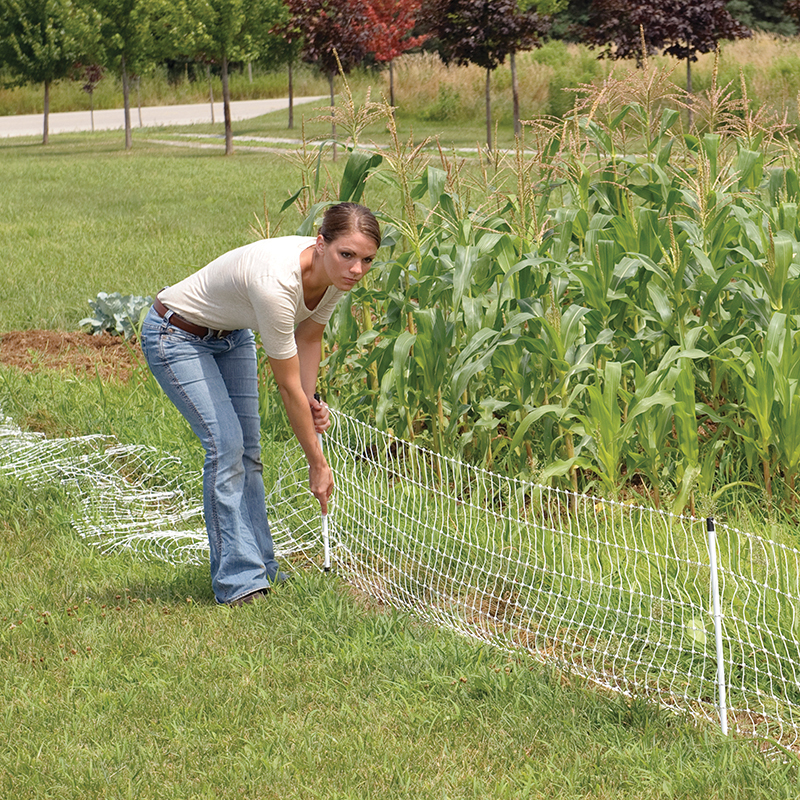 All About Electric Garden Fencing