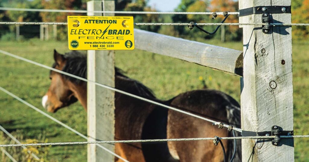 All About Electric Horse Fencing