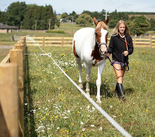 All About Electric Horse Fencing