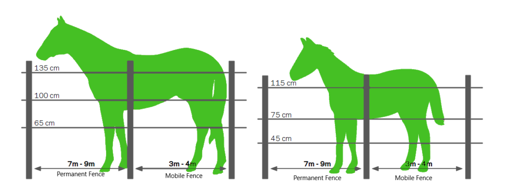 All About Horse Fencing