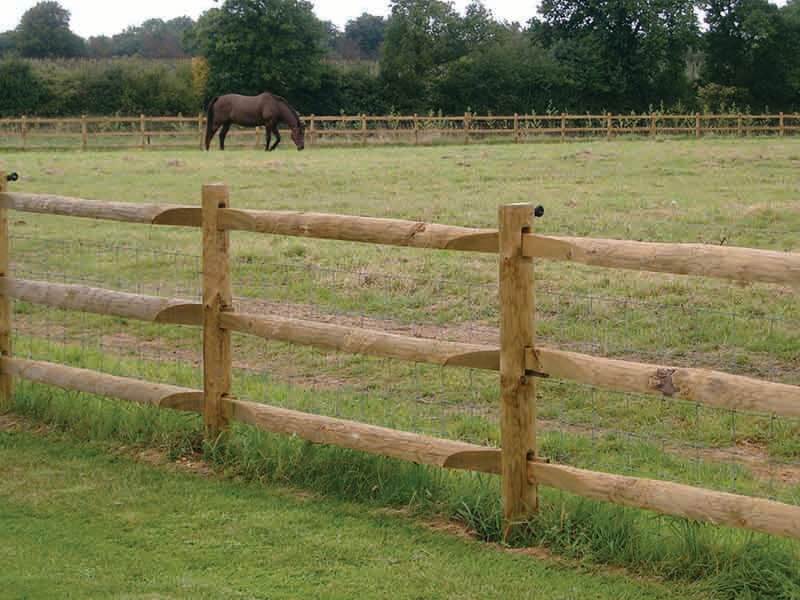 All About Horse Fencing