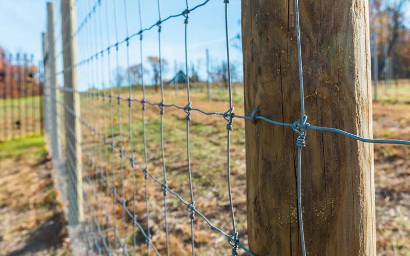 All About Wire Fencing