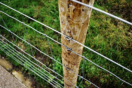 All About Wire Fencing