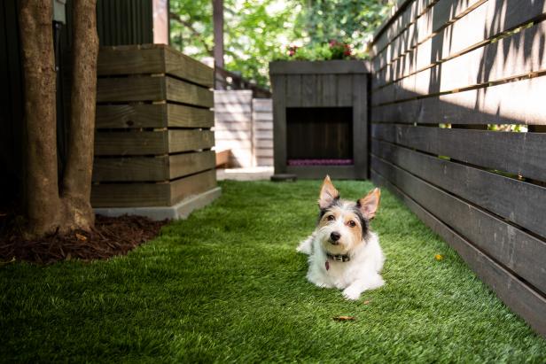 Creating a Dog Run with a Fence