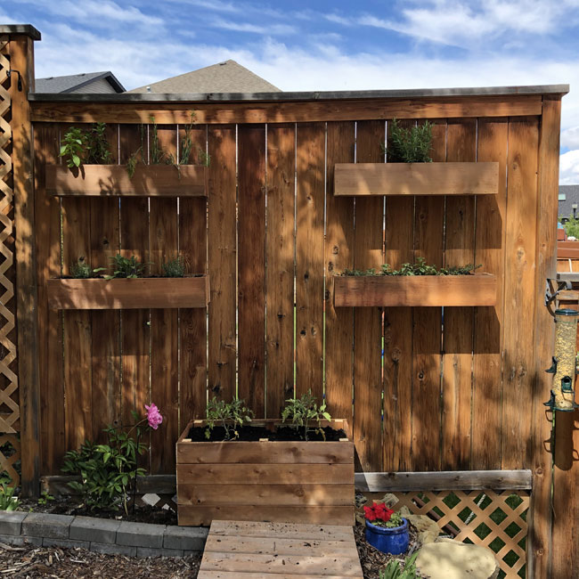 Creating a Herb Garden with a Fence