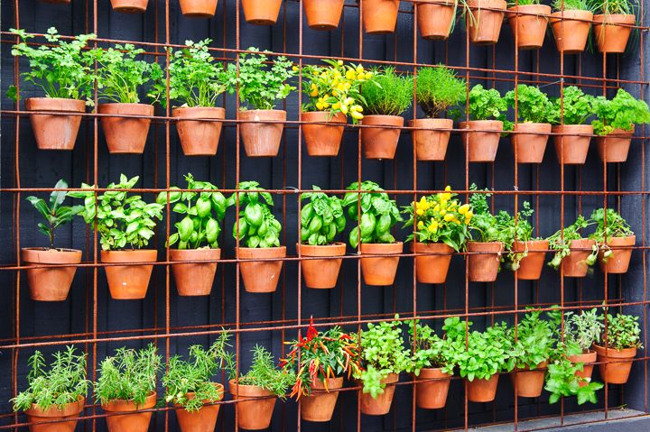 Creating a Herb Garden with a Fence