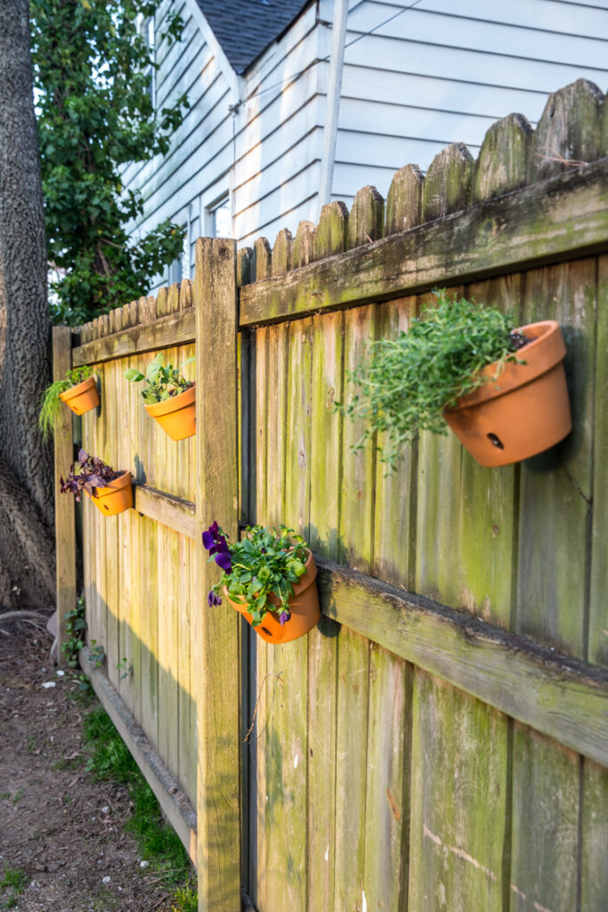 Creating a Herb Garden with a Fence