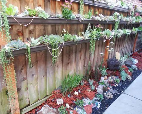 Creating a Succulent Garden with a Fence