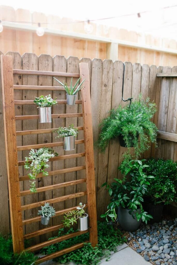 Creating a Succulent Garden with a Fence