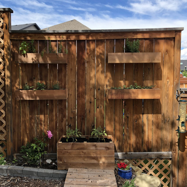 Creating a Vertical Garden with a Fence