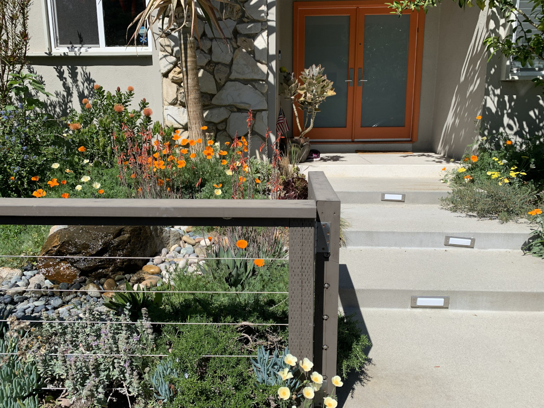 Drought-Tolerant Fencing Options for Dry Climates