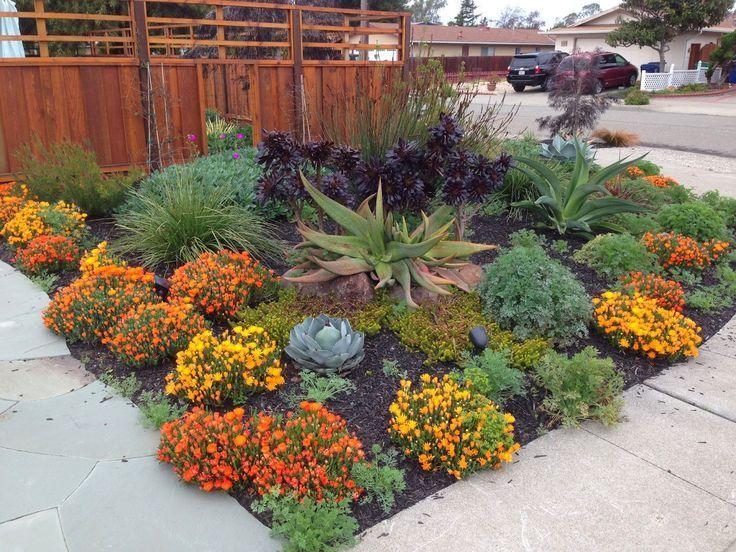 Drought-Tolerant Fencing Options for Dry Climates