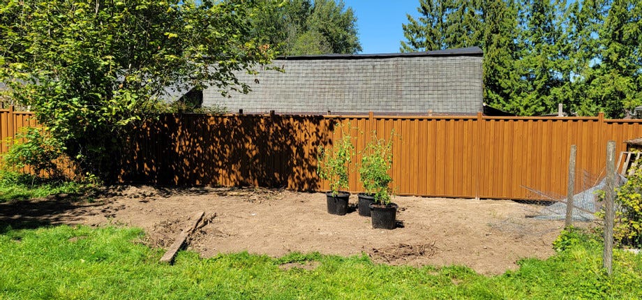 Enhancing Your Outdoor Space with a Fence
