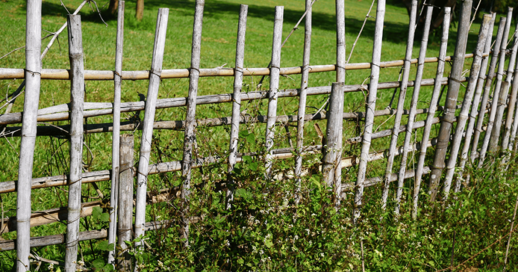 Enhancing Your Outdoor Space with a Fence