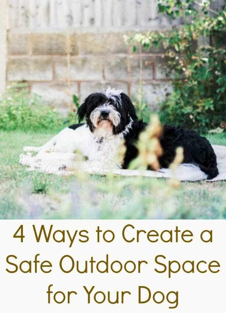 Fences and Pets: Creating a Safe Outdoor Space