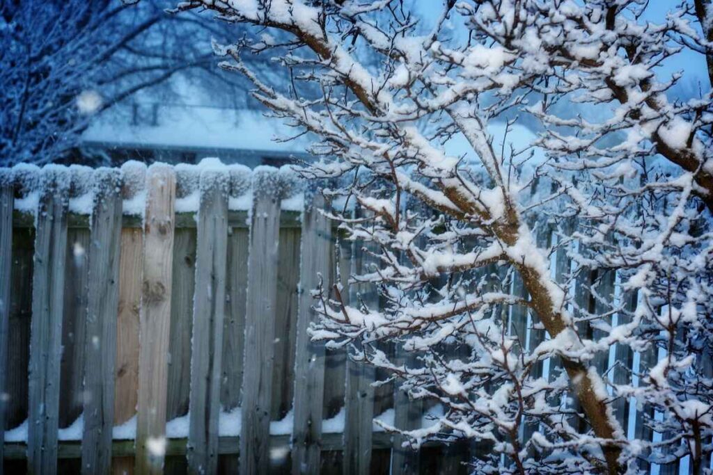 Fencing Solutions for Snowy Climates