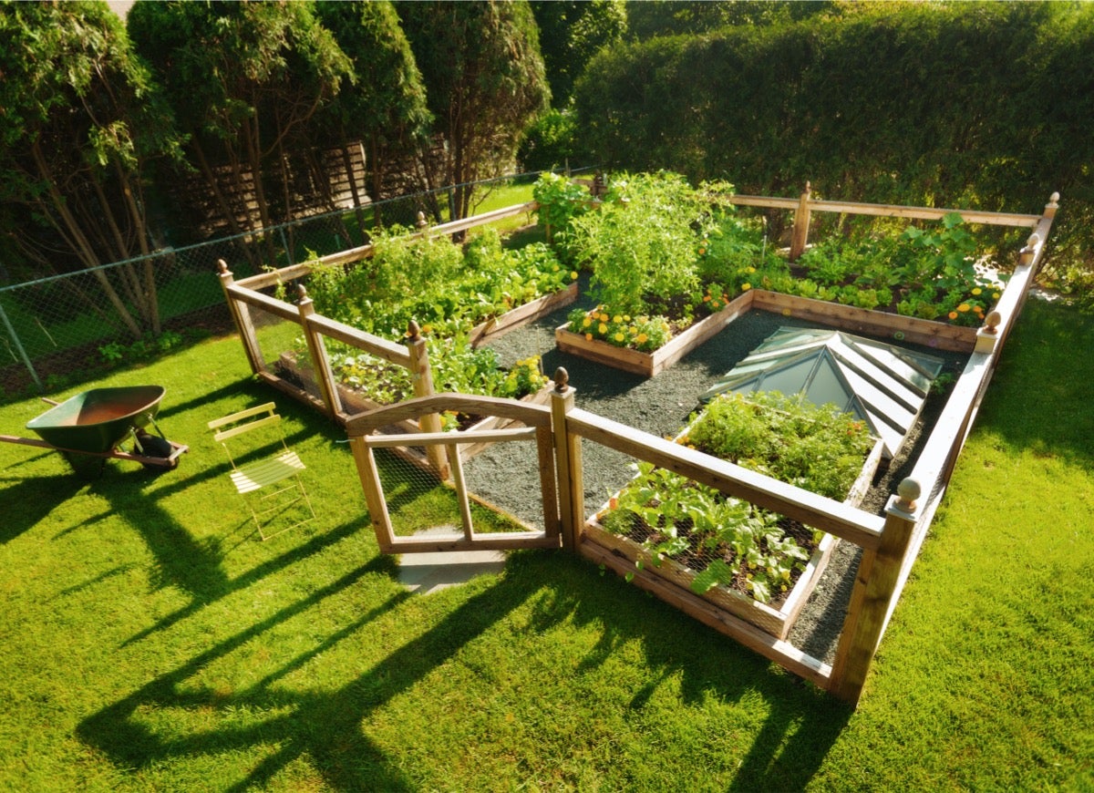Garden-Friendly Fencing Solutions for Vegetables