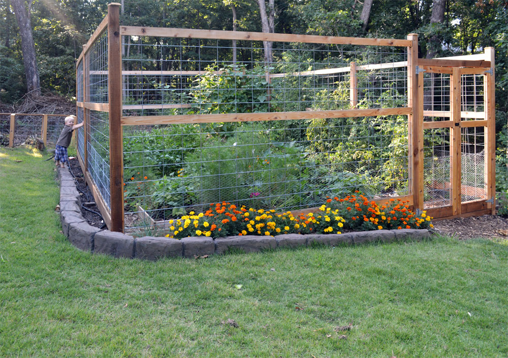 Garden-Friendly Fencing Solutions for Vegetables