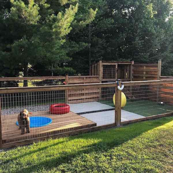 How to Create a Dog-Friendly Yard with a Fence