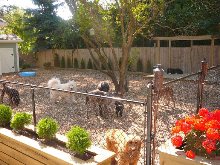 How to Create a Dog-Friendly Yard with a Fence