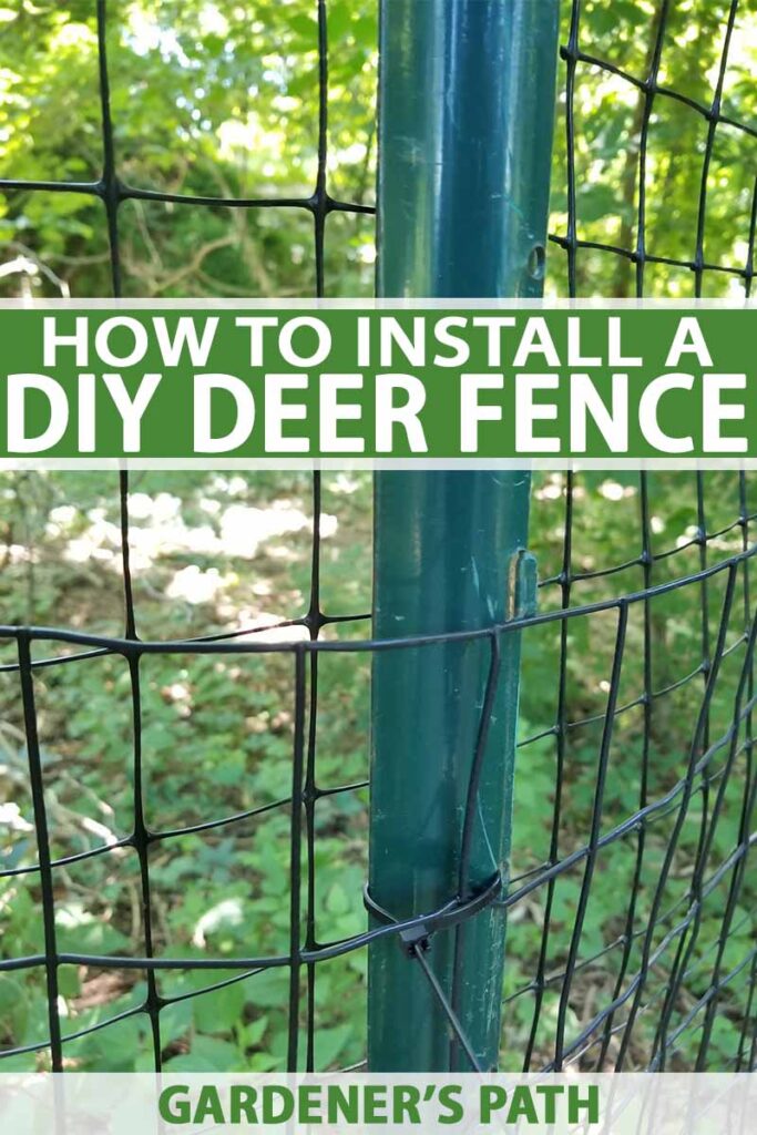 How to Install a Fence for Deer Prevention