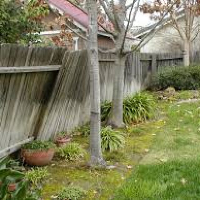 How to Protect Your Fence from Rot and Decay