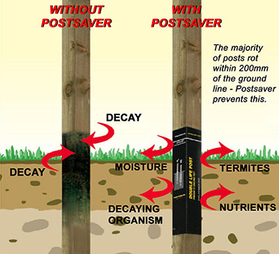 How to Protect Your Fence from Rot and Decay