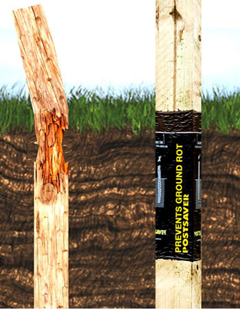 How to Protect Your Fence from Rot and Decay