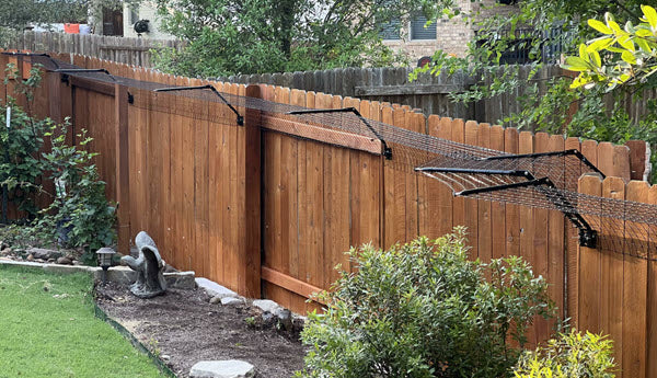 Pet-Friendly Fencing Solutions for Cats