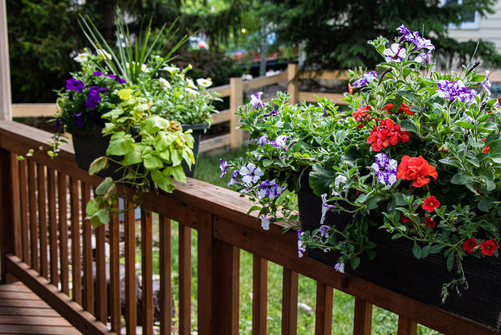 The Benefits of Adding Planters to Your Fence
