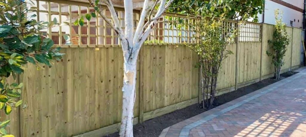 The Benefits of Adding Trellis to Your Fence