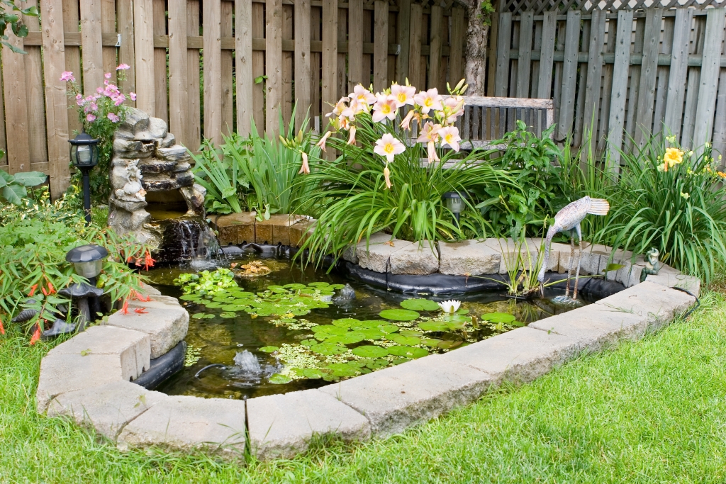 The Benefits of Adding Water Features to Your Fence