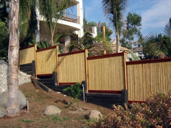 The Pros and Cons of Bamboo-Cane Fencing