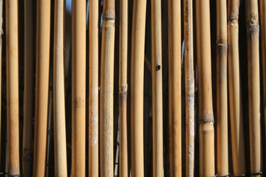 The Pros and Cons of Bamboo-Cane Fencing