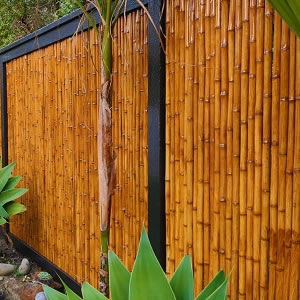 The Pros and Cons of Bamboo Fencing