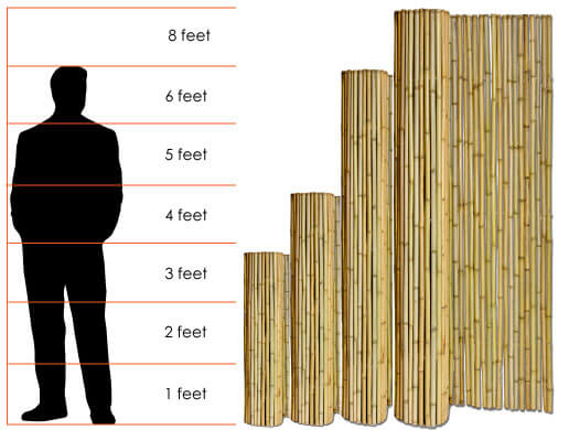 The Pros and Cons of Bamboo Fencing