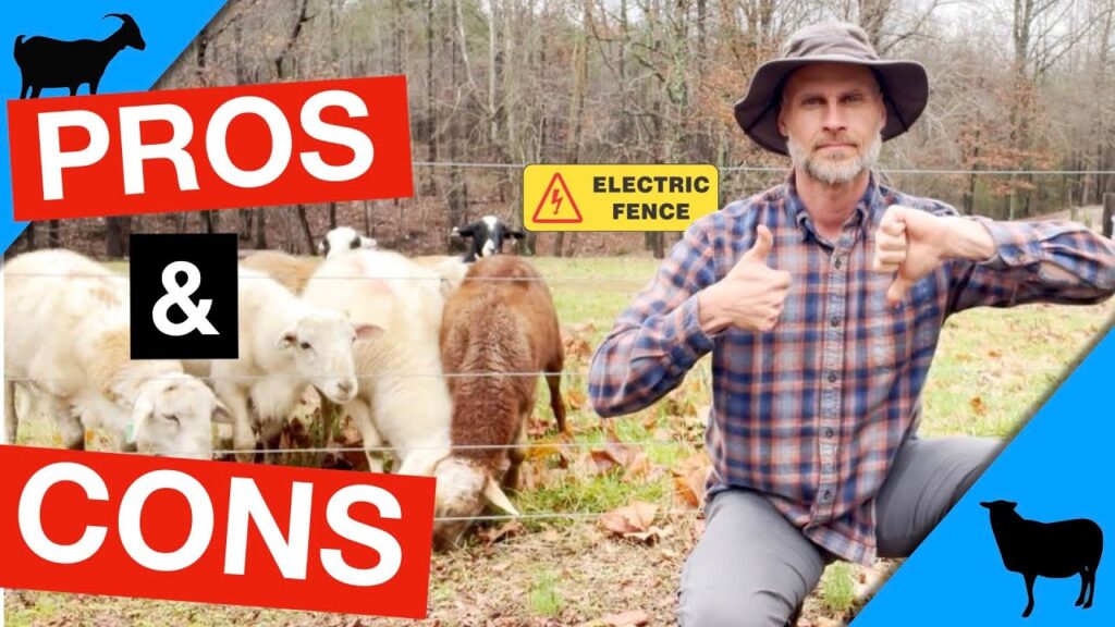 The Pros and Cons of Electric Fencing