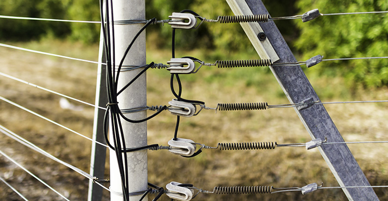 The Pros and Cons of Electric Fencing