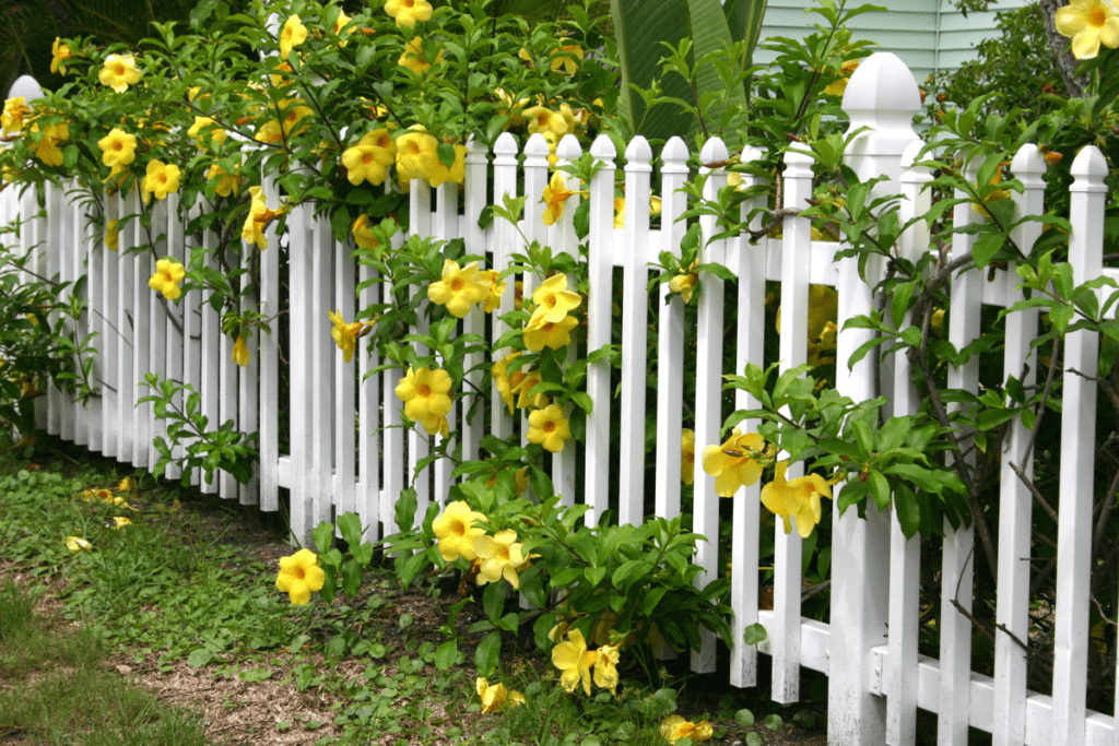 37. Understanding Neighborhood and HOA Fence Regulations